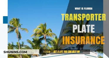 Florida Transporter Plate Insurance: What You Need to Know
