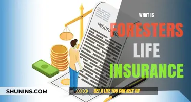 Foresters Life Insurance: Unlocking Comprehensive Coverage for a Secure Future