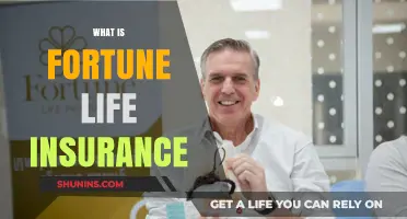 Unraveling Fortune Life Insurance: A Comprehensive Guide