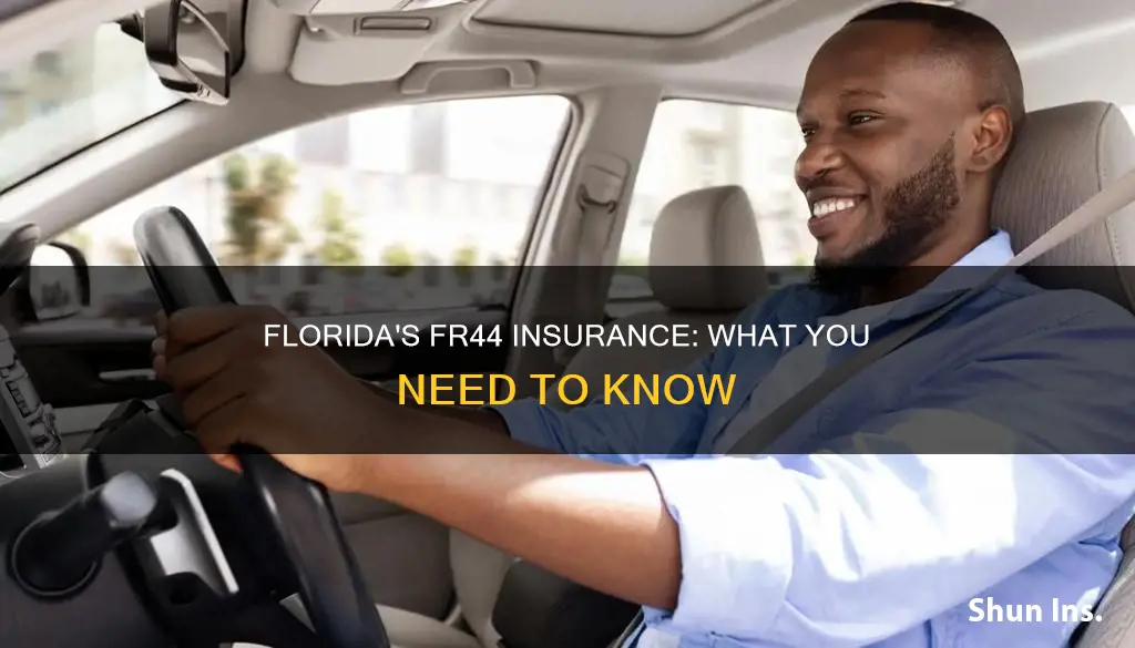 what is fr44 insurance florida