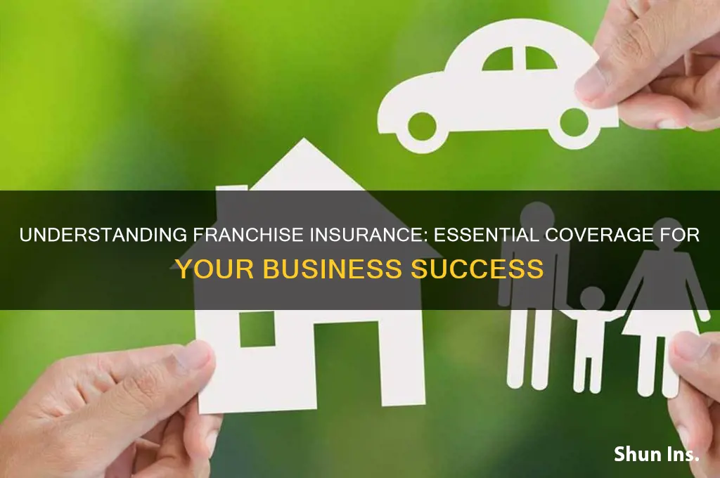 what is franchise insurance