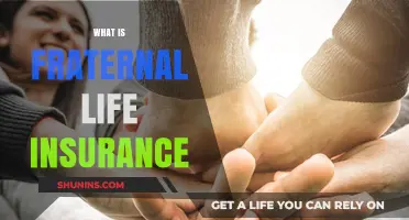 Fraternal Life Insurance: A Bond Between Brothers