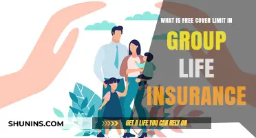 Understanding Free Cover Limits in Group Life Insurance