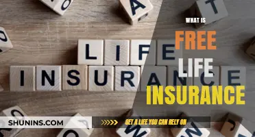 Free Life Insurance: Understanding the Basics and Benefits