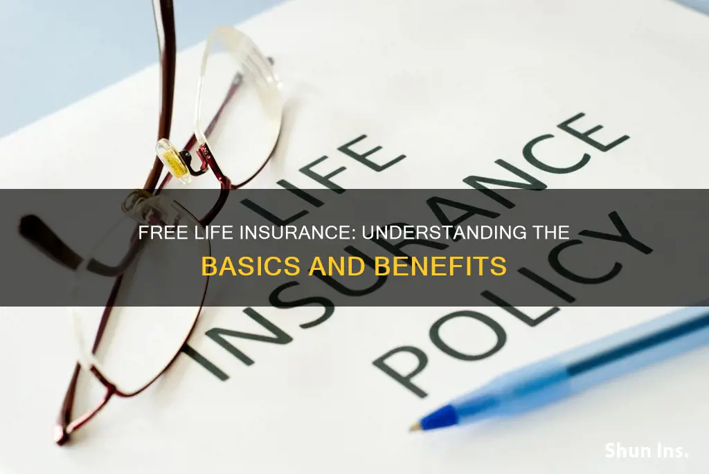 what is free life insurance