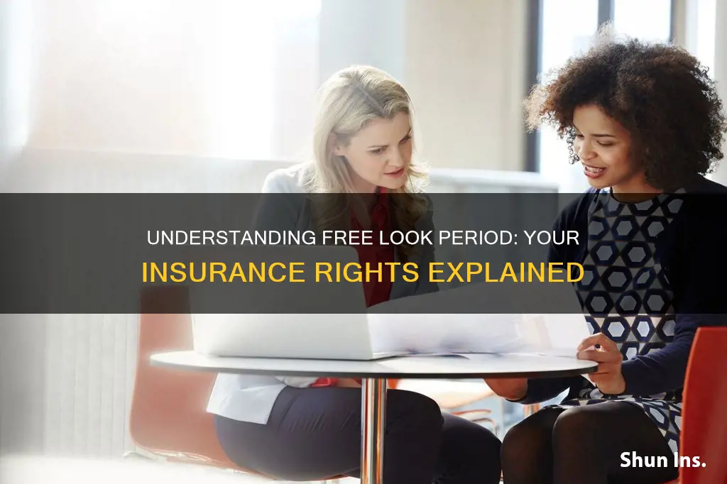 what is free look period in life insurance