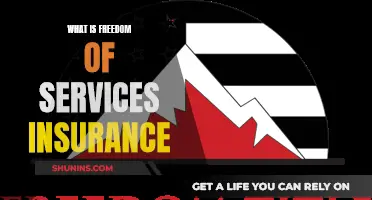 Understanding Freedom of Services Insurance: A Comprehensive Guide