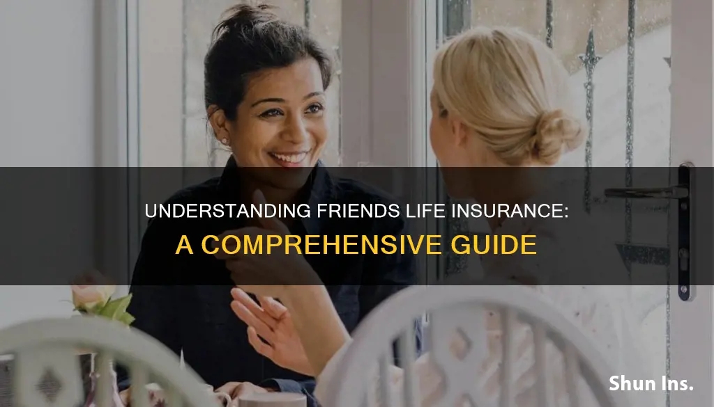 what is friends life insurance