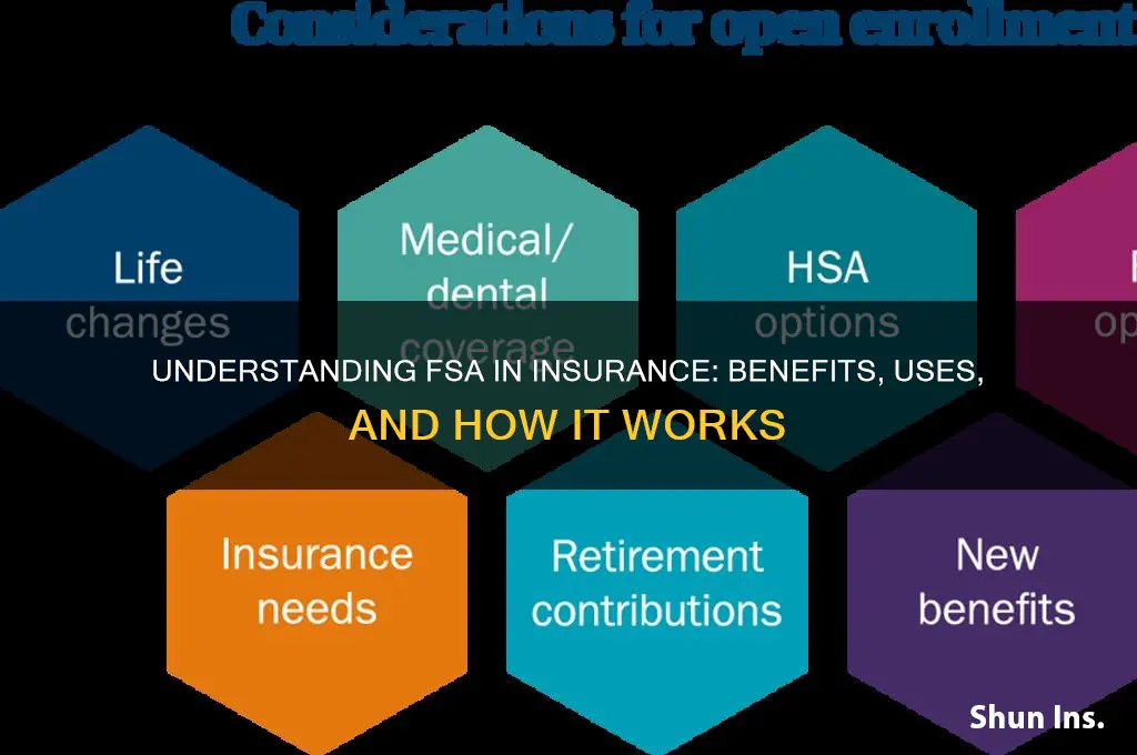 what is fsa in insurance
