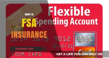 Understanding FSA Insurance Benefits: What, Why, and How?