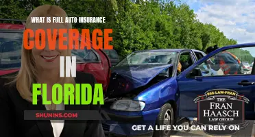 Auto Insurance Coverage in Florida: What's Included in Full?