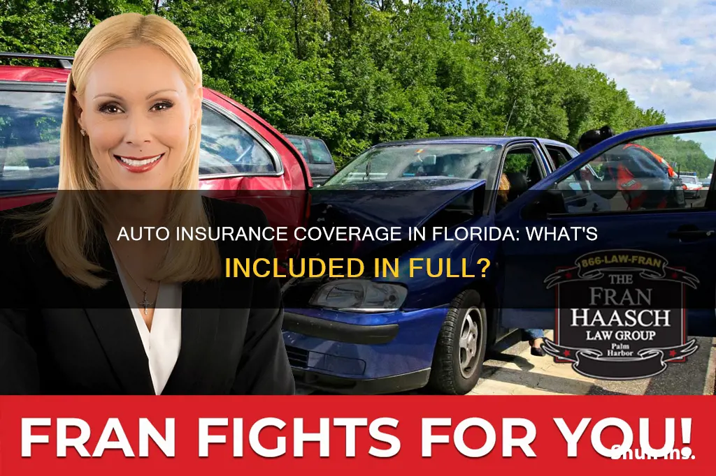 what is full auto insurance coverage in Florida