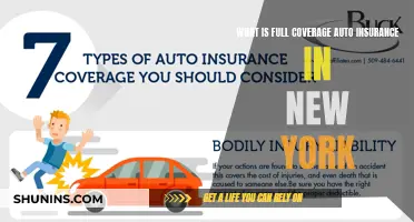 Full Coverage Auto Insurance: Understanding New York's Unique Requirements