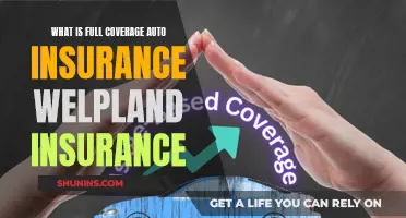 Full Coverage Auto Insurance: What Welpland Offers