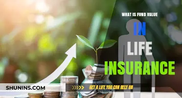 Understanding Fund Value: A Key to Life Insurance Success