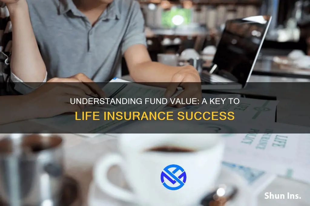 what is fund value in life insurance