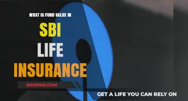 Understanding SBI Life Insurance's Fund Value: A Comprehensive Guide