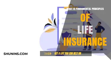 Understanding Life Insurance: Core Concepts Explained