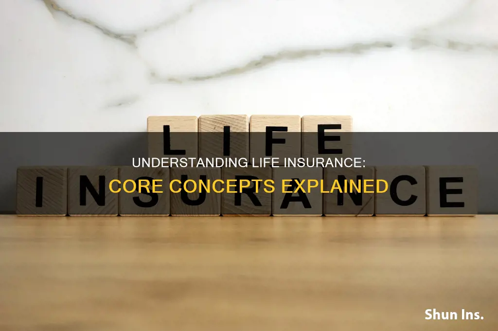 what is fundamental principles of life insurance