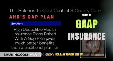 Understanding GAAP Insurance: Definition, Compliance, and Financial Reporting