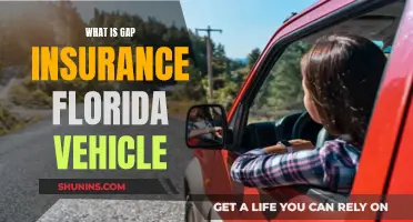 Gap Insurance: Protecting Your Florida Vehicle