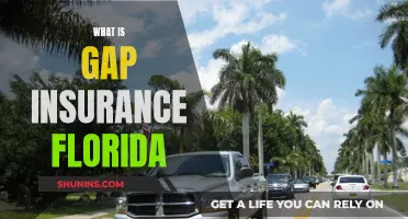 Gap Insurance: Florida's Ultimate Car Protection