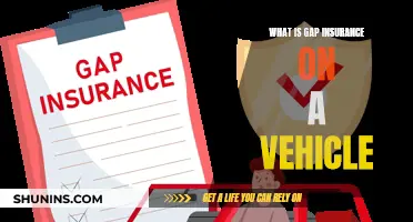 Gap Insurance: Vehicle Protection