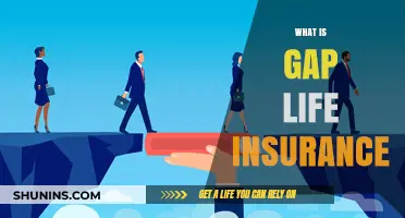 Understanding Gap Life Insurance: A Comprehensive Guide