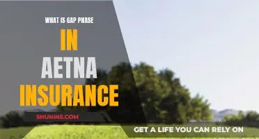 Aetna Insurance: Understanding the Gap Phase