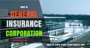 Understanding General Insurance Corporation: Role, Benefits, and Importance
