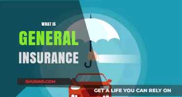 Understanding General Insurance: Coverage, Benefits, and Why It Matters