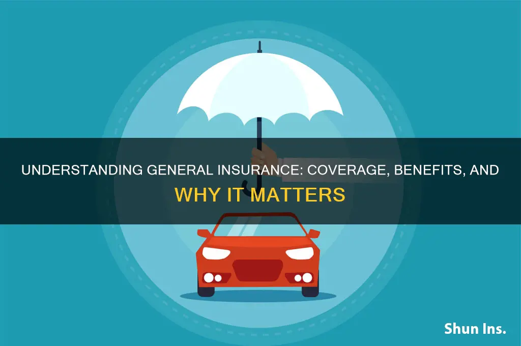 what is general insurance
