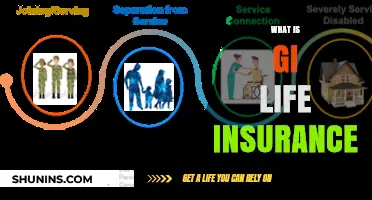 Understanding GI Life Insurance: A Comprehensive Guide