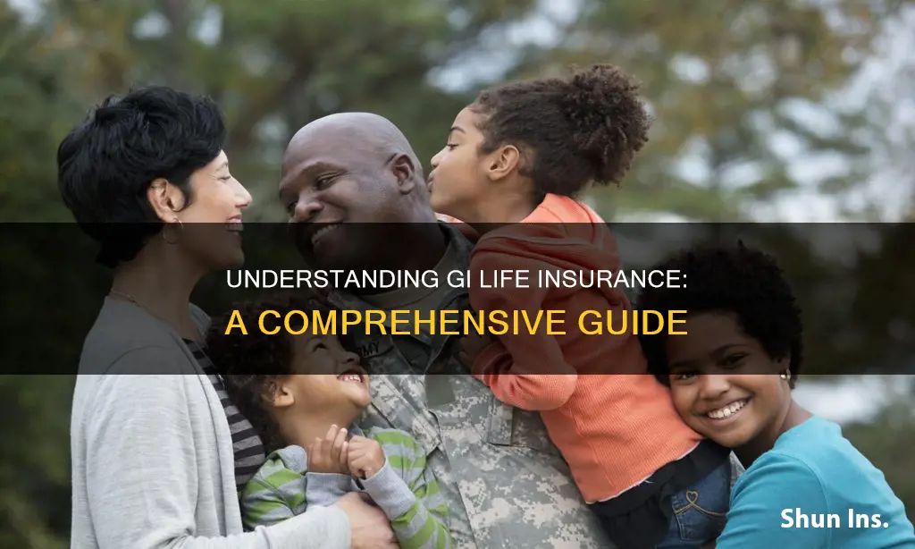 what is gi life insurance