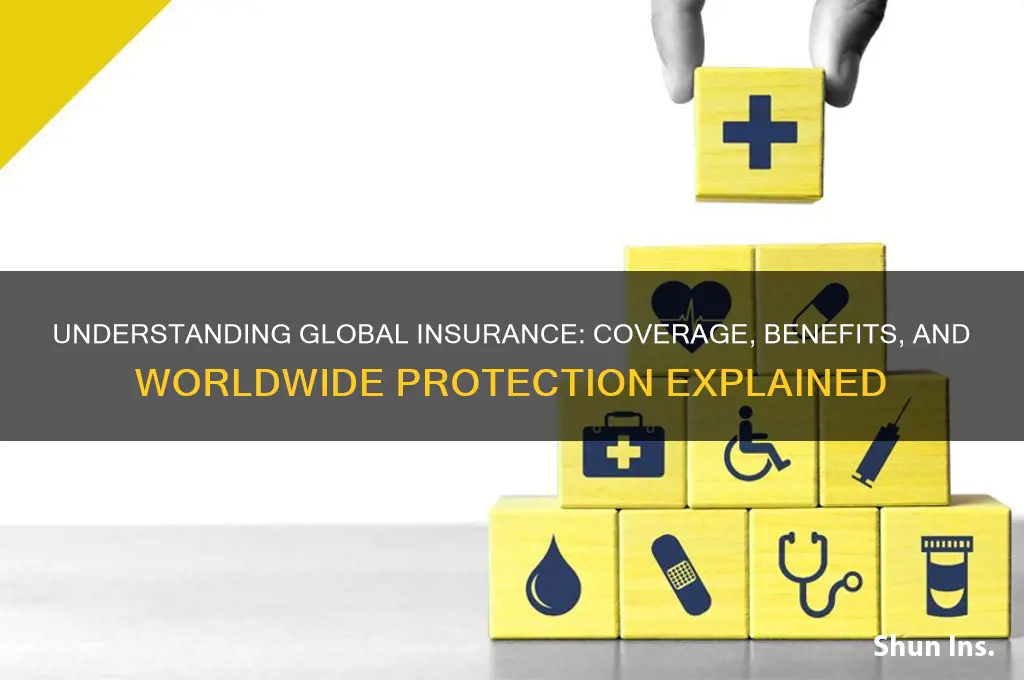 what is global insurance