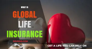 Understanding Global Life Insurance: A Comprehensive Guide