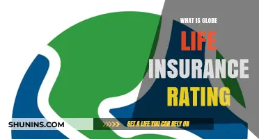 Understanding Globe Life Insurance: A Comprehensive Rating Analysis