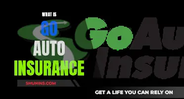 Auto Insurance Simplified: Go Auto's Comprehensive Coverage