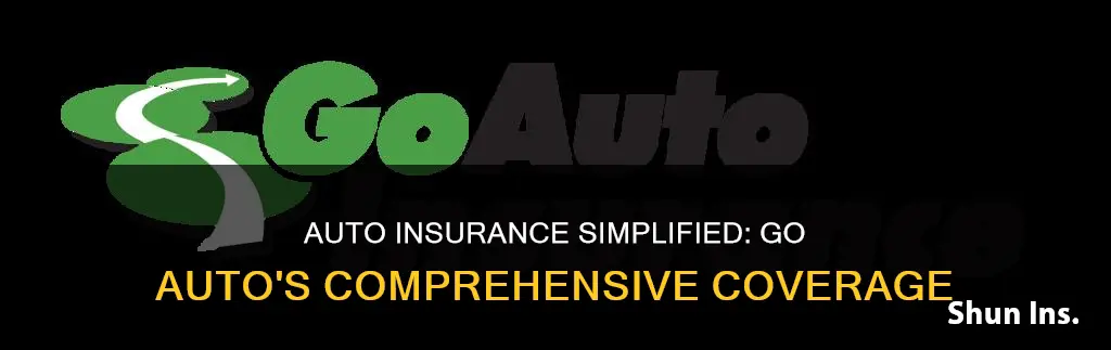 what is go auto insurance