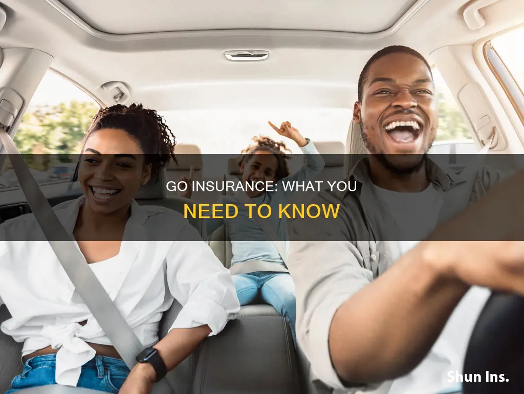 what is go insurance