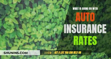 Auto Insurance Rates: Why the Sudden Spike?