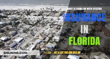 Florida's Citizens Insurance: What's Happening and Why?