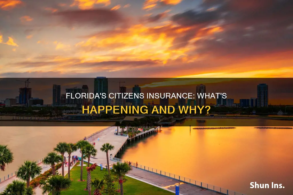 what is going on with citizens insurance in Florida