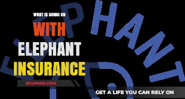 Elephant Insurance: What's the Deal?