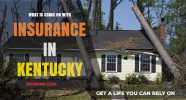 Kentucky Insurance: What's Happening and Why