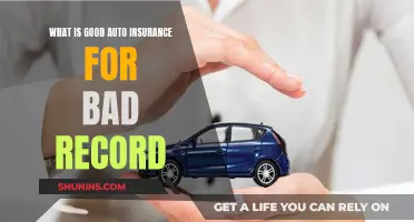 Finding Auto Insurance: Bad Records, Good Options