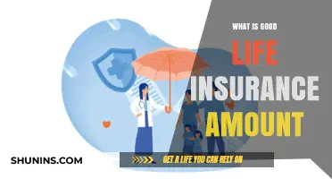 Finding the Perfect Life Insurance Coverage: A Guide to the Right Amount