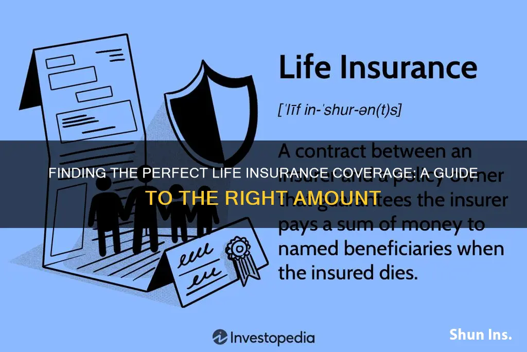 what is good life insurance amount