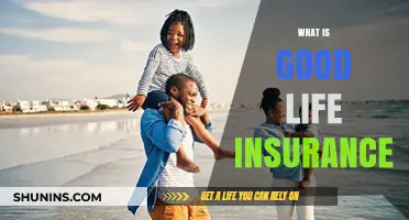 Understanding the Basics: What Makes Good Life Insurance?