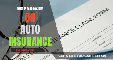 Auto Insurance Claims: What You Should Know and Claim